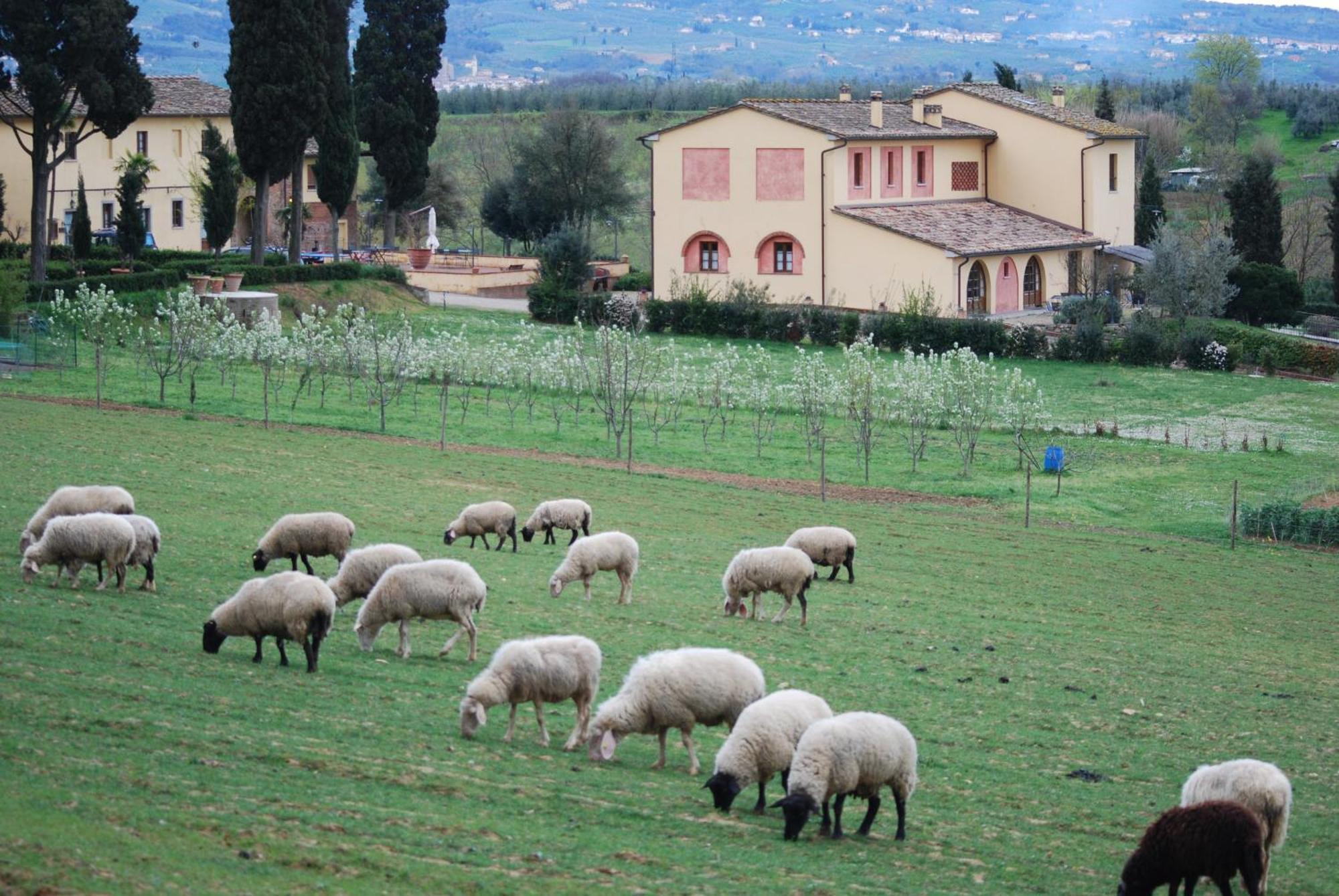 Agriturismo Fattoria Rozzalupi Cerreto Guidi Kültér fotó