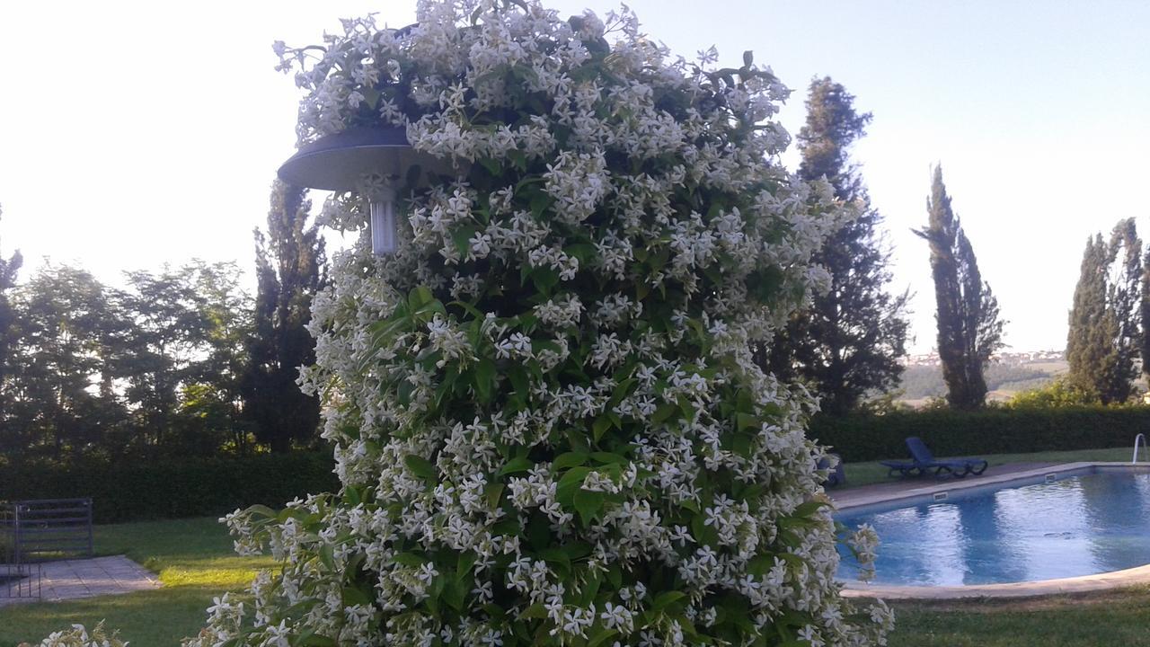 Agriturismo Fattoria Rozzalupi Cerreto Guidi Kültér fotó